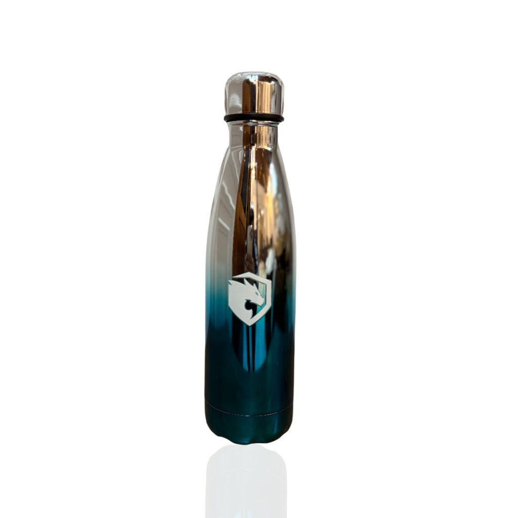 Premium stainless steel water bottle - Silver Ocean Blue